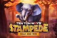 Ten Ton Ways Stampede